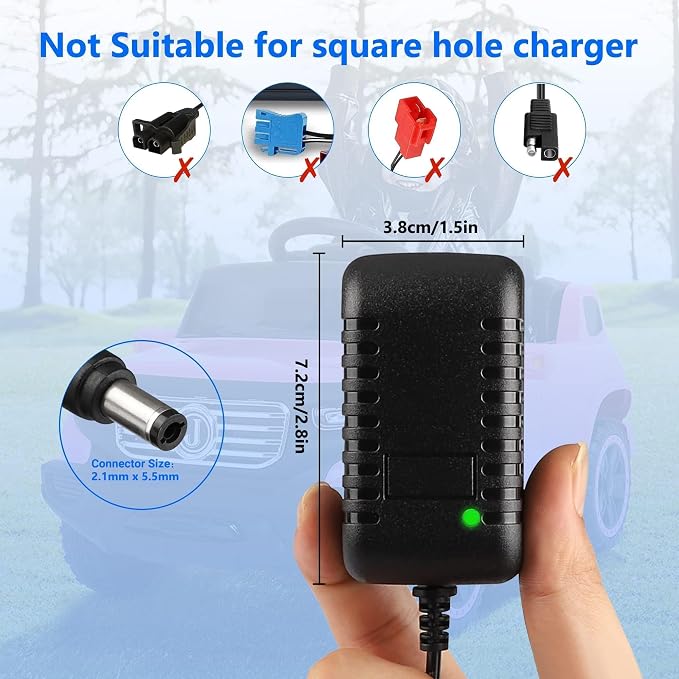 6V Battery Charger for Ride On Car Toys, 6 Volt Universal Ride On Car Charger for Mercedes-Benz, Ferrari, Dynacraft, Lamborghini, Flybar Bumper Car, Monster Jam Kids Riding Toy