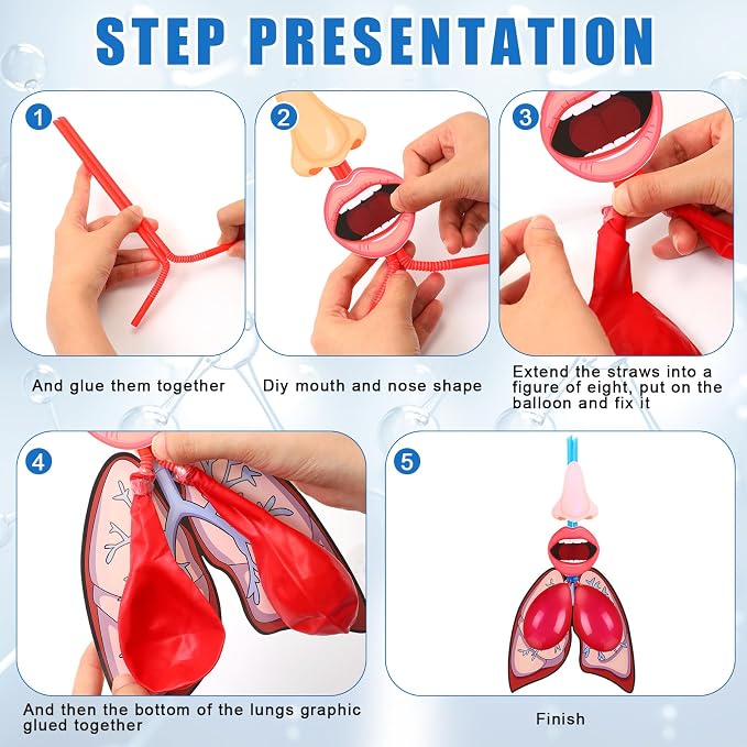 Libima 24 Sets Lung Model Respiratory System Model Toys Science Classroom Study Display Biologic Anatomy Doll and Human Body Puzzle Learning Homeschool Preschool Early Childhood Teaching Aid