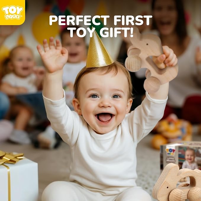 TOY Life Wooden Toys Cars, Montessori Baby Toys 6-12 Months, Wooden Baby Toys Rattle Cars for Toddlers 1-3, Baby Boy Nursery Decor, Montessori Toys for 1 Year Old Boy (Animal Set)