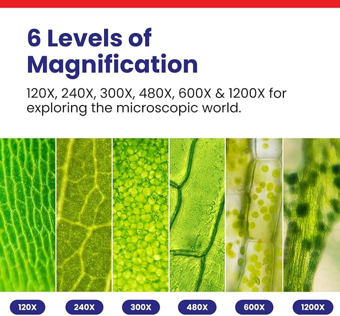 AmScope M30 Series 52-Piece STEM Microscope Kit for Kids - Monocular, Portable Compound Microscope for Kids - Includes Petri Dish, Slides & More - Black