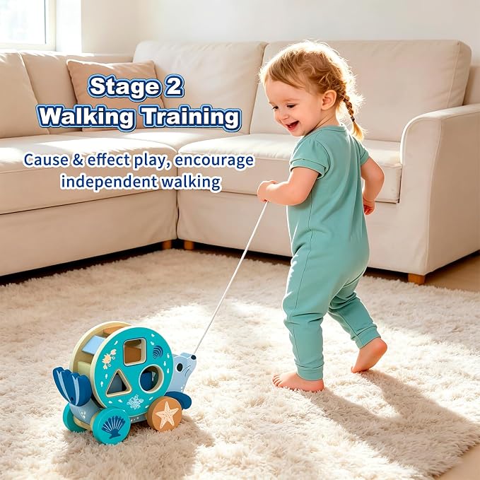 LOVELAND Wooden Seal Pull Along Toy, 3-in-1 Interactive Walker for Toddlers 1-3 with Rattle Ball & Shape Sorter, STEM Educational Push Pull Walking & Crawling Toy for Baby Boy Girl Birthday Gifts