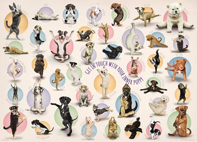 EuroGraphics Yoga Puppies 300-Piece Puzzle (Small Box), Multi