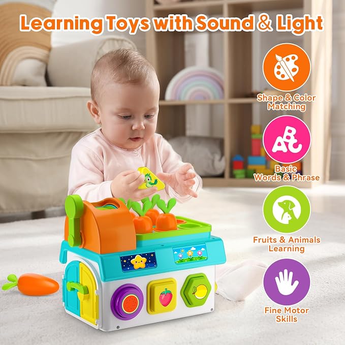 Musical SortingToys for 1 Year Old Boy, 1st First Birthday Boy Girl Gifts Presents, Montessori Educational Learning Toddler Toy for 1-2 Year Old, Fine Motor Skills Toy