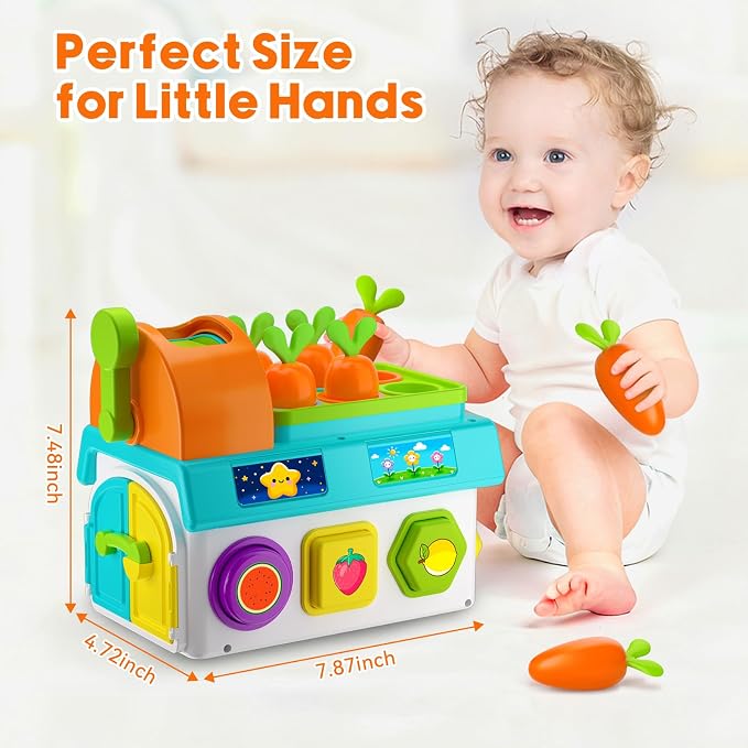 Musical SortingToys for 1 Year Old Boy, 1st First Birthday Boy Girl Gifts Presents, Montessori Educational Learning Toddler Toy for 1-2 Year Old, Fine Motor Skills Toy