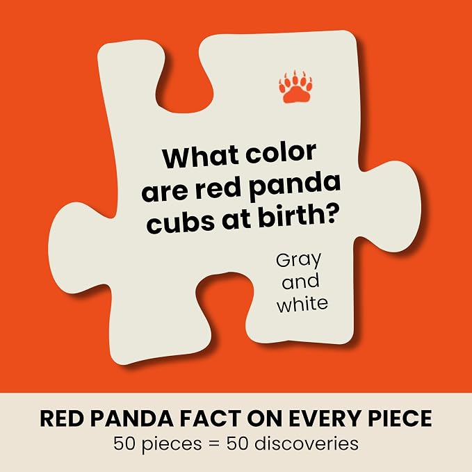 Red Panda Trivia Puzzle - 50 Piece Life-Size Red Panda Puzzle with Wildlife Trivia on Every Piece | Educational Animal Gift for Kids & Families | Livuzzle