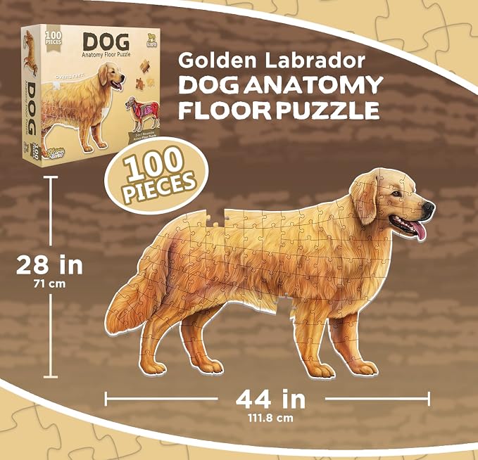 Dog Animal Anatomy Floor Puzzle | 100-Piece Double-Sided Jigsaw Puzzle | Large Floor Puzzle for Kids Ages 4–8, 3–5, 8–10 | Fun and Educational STEM Toy for Kids, Toddlers, and Families