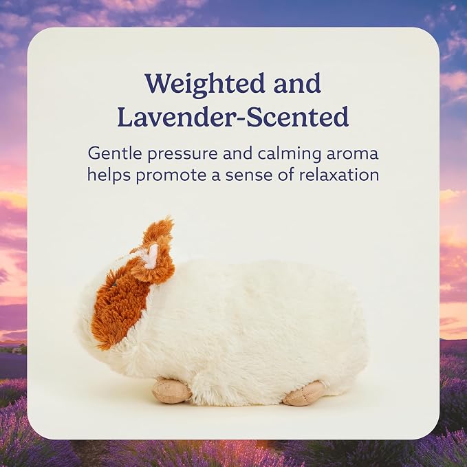 warmies Microwavable & Weighted Stuffed Animals, Guinea Pig - Heated Stuffed Animal Plushie for Warmth & Comfort - Cute Soft Plush Toys for Adults & Children (Boys, Girls, Babies & Toddlers)