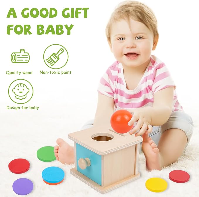 Adena Montessori Coin Box, 2 in 1 Object Permanence Box with Ball, Wooden Ball Drop Toys for 6-12 Month Infants, Developmental Learning Toys for 1 Year Old Baby, Kids Gifts (Blue Door)