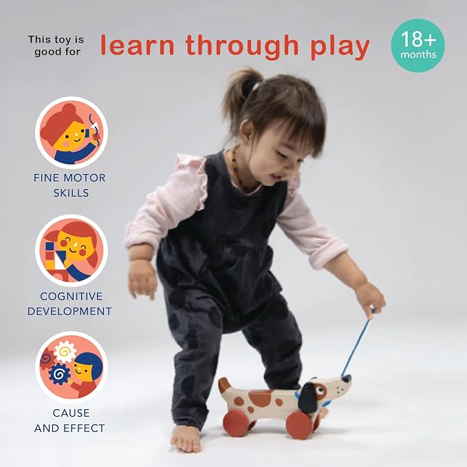 Mentari Toys - Puppy on Wheels - Wooden Dog Pull Toy for Toddler Walking for 18M+ Boys and Girls - Sustainable Rubberwood - Educational Motor Skills & Imaginative Play - Gift for Preschoolers