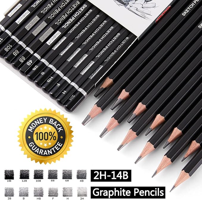 PANDAFLY 12 Pieces Professional Drawing Sketching Pencil Set, Graphite Pencils (14B - 2H), Ideal for Drawing Art, Sketching, Shading, Artist Pencils for Beginners & Pro Artists