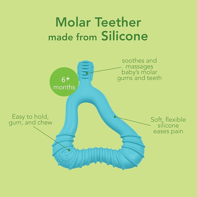 Green Sprouts Silicone Front & Side Teether, 6mo+, Platinum-Cured Silicone, Sterilizer Safe, Tested for Hormones - Light Sage