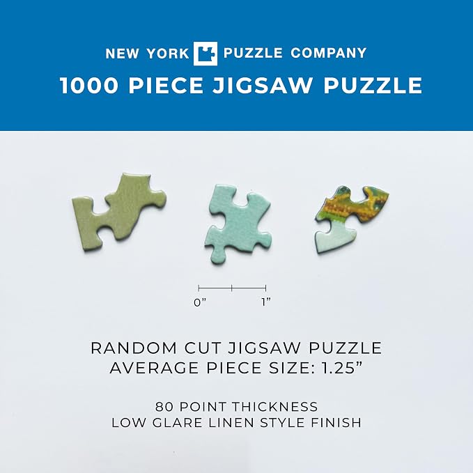 New York Puzzle Company - Loré Pemberton Seabird - 1000 Piece Jigsaw Puzzle for Family Game Nights by Loré Pemberton