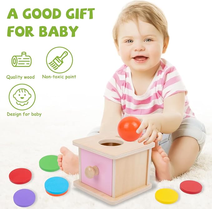 Adena Montessori Coin Box, 2 in 1 Object Permanence Box with Ball and Wooden Discs, Developmental Toys for 6-12 Month Infants, Learning Gifts for 1 Year Old Baby (Pink Door)