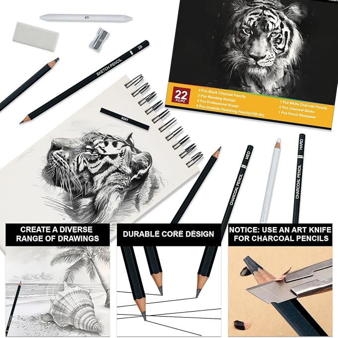 Aenir Charcoal Pencils for Drawing, Set of 22, Professional Drawing Sketch Pencils, Charcoal Art Supplies for Sketching, Shading, Artist Charcoal Supplies for Beginners & Pro Artists.