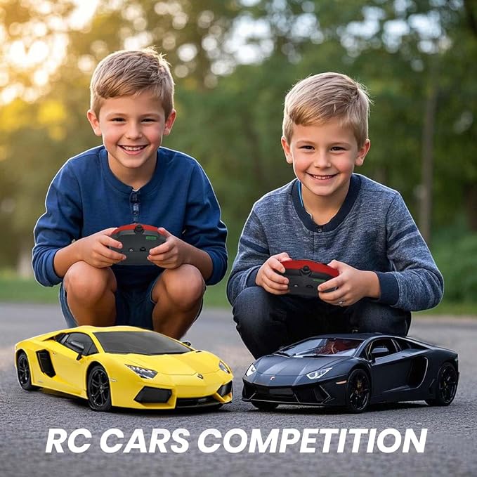 Official Licensed Lamo LP-700 1:18 Scale Remote Control Car for Kids 8-12 Years, RC Car with Rechargeable Battery 3.7V 500mAh, 2.4GHz Matte Black