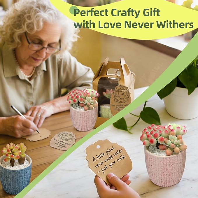 Microland Craft Kits for Teens Crafty Clay Kit for Succulents Flower Making Fun Adult Activities of Arts and Crafts Art Therapy Crafting Set Creative Gifts for Women Teen Girls Artist Gifts for Mom