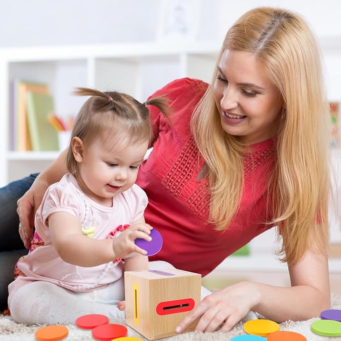 Montessori Toys for 1 2 3 Year Old: Fine Motor Wooden Color Sorting Sensory Toy for Toddlers 1-3 Year Old, Object Permanence Wooden Learning Matching Game, Baby Boys Girls Gifts 12-18 Month Old