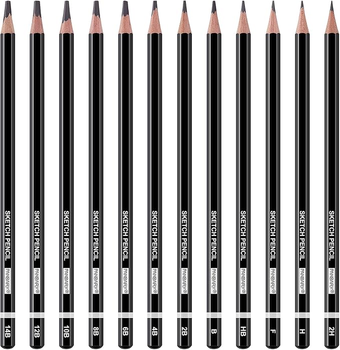 PANDAFLY 12 Pieces Professional Drawing Sketching Pencil Set, Graphite Pencils (14B - 2H), Ideal for Drawing Art, Sketching, Shading, Artist Pencils for Beginners & Pro Artists