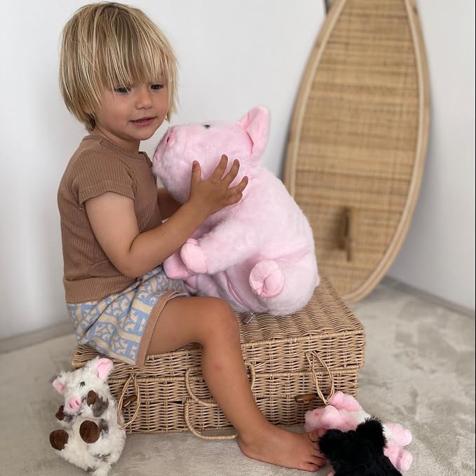 5-Piece Pig Stuffed Animal Set, 16 Inch Mommy Plush with 4 Baby Piggy Toys, Soft Cuddly Kawaii Plushies, Christmas Birthday Gift for Kids Girls Boys, Baby Shower Decor