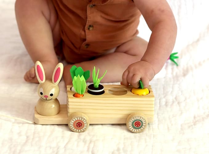 Adventure Awaits! Wooden Rabbit Pull Cart Farm Toy with Removeable Vegetables for Toddlers | Kids Montessori Easter Bunny Shape Sorting Car