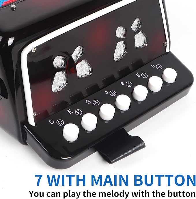 Horse Kids Accordion, 10 Keys Button Control Kid Accordions Musical Instruments for Child Children Toddlers Beginners Accordian Lightweight 7 key 3 Bass Mini Acordeón Toy Acordeones Para Miños Black