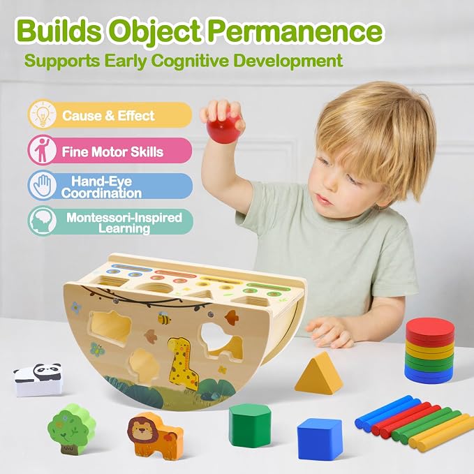 Montessori Busy Box for Toddlers 1-3, Wooden Object Permanence Coin Box with Shape Sorter & Animal Matching, Fine Motor Sensory Learning Toy with Wobble Base, Gift for 1 2 3 Year Old