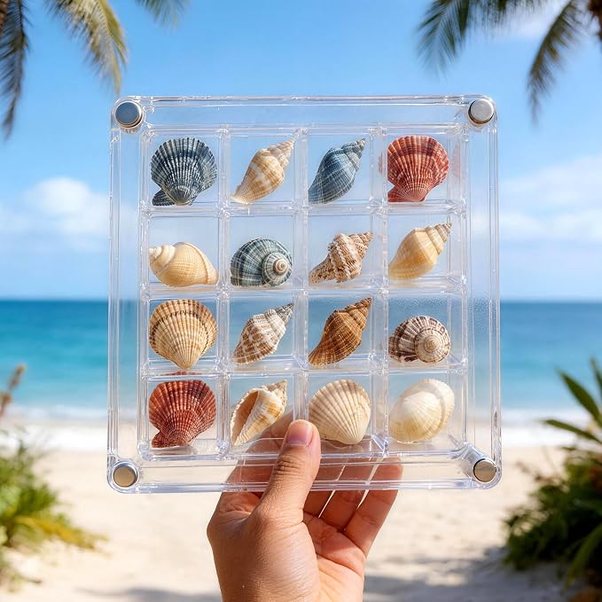 2 Pack Beach Sand Sifter with Seashell Bags & Shell Display Case, Beach Toys for Kids Beach Seashell Collecting, Seashell Beach Shovels for Boys and Girls