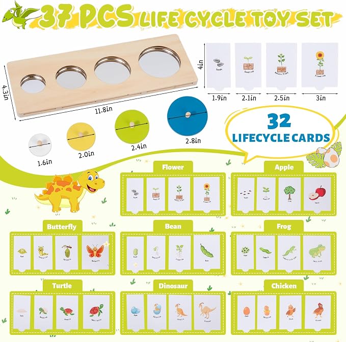 Montessori Wooden Circle Puzzle with Knob,Montessori Toys for 12-18 Months-Mirror Peekaboo Peg Board with 32 Cards for 8 Life Cycles,First Baby Puzzle for Toddlers 1-3,Wooden Preschool Learning Toys