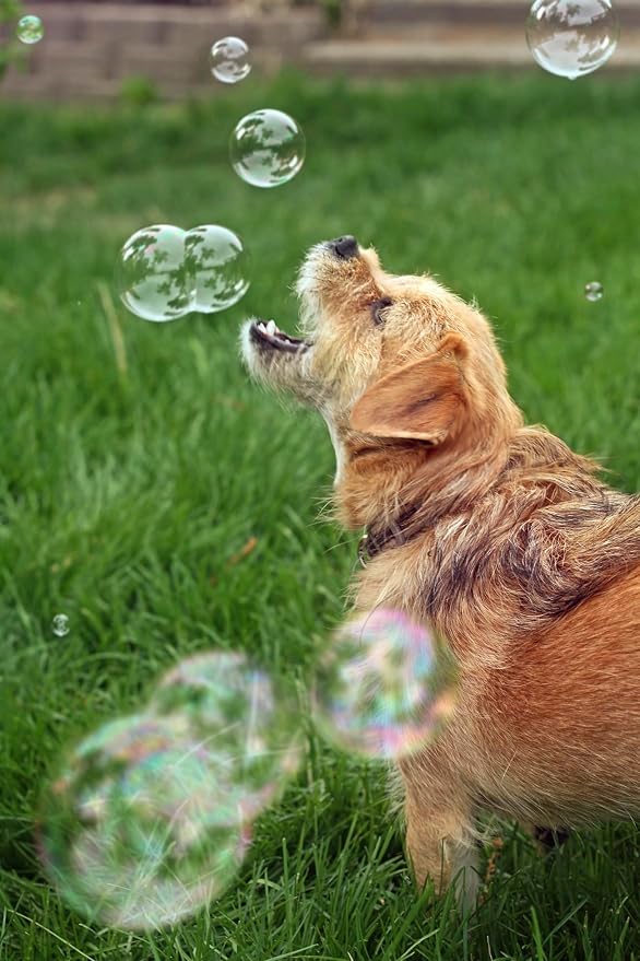 Bubbletastic Bacon Bubble Machine for Dogs - with Free 8oz. Bottle of Bacon Bubbles!