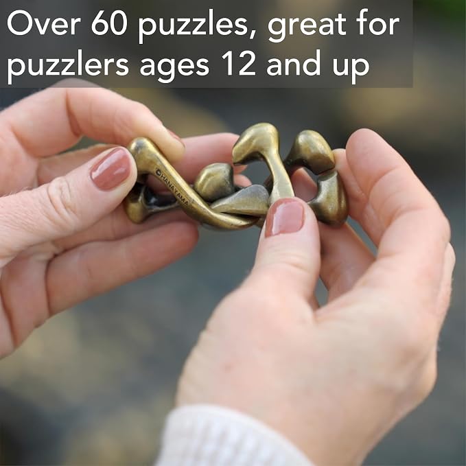 BePuzzled | Dial Hanayama Metal Brainteaser Puzzle Mensa Rated Level 5, for Ages 12 and Up