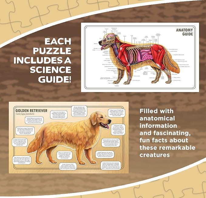 Dog Animal Anatomy Floor Puzzle | 100-Piece Double-Sided Jigsaw Puzzle | Large Floor Puzzle for Kids Ages 4–8, 3–5, 8–10 | Fun and Educational STEM Toy for Kids, Toddlers, and Families