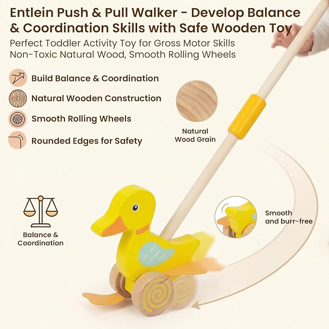 Wooden Push Toys for Toddlers 1-3, Baby Pull Along Stick Walking Duck | Montessori Early Development Toy for 1 Year Old Girls Boys Birthday Gift