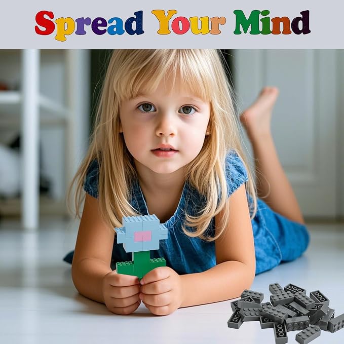 HUIZDQ 500 Piece Classic Building Bricks and 1 Gray Baseplate, 2x4 Bricks Bulk Creative Building Toys, Blocks Bulk for Kids Ages 6+, Dark Gray(Small Bricks, 1.25x0.62x0.47 in)