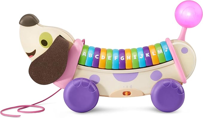 LeapFrog Wooden AlphaPup, Purple