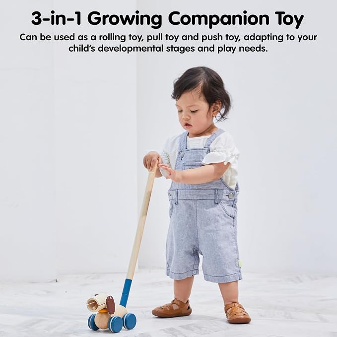 PlanToys® Puppy Wooden Push & Pull Toy | Montessori Inspired Walking Toy for Balance, Coordination & Active Play | Eco Friendly Toddler Movement Activity