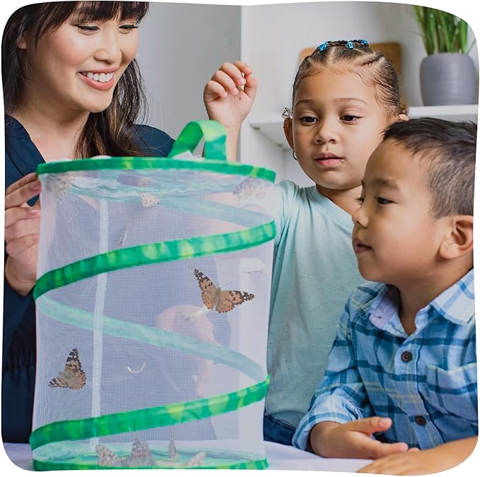 Insect Lore Raise and Release Butterfly Garden Kit – Caterpillar Habitat with redeemable Voucher – STEM-accredited Butterfly Growing Kit for Kids, Classrooms, and Homeschool Learning (Pack of 12)