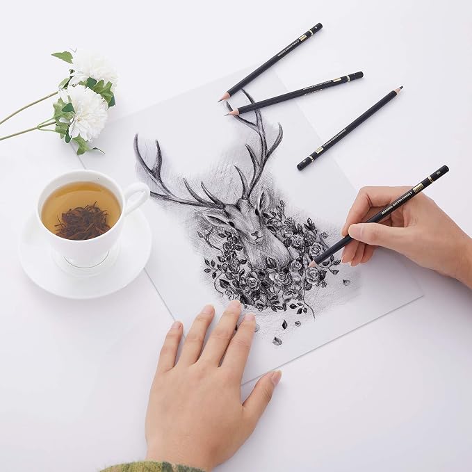 MARKART Professional Drawing Sketching Pencil Set - 14 Pieces,Graphite,(12B - 4H), Ideal for Drawing Art, Sketching, Shading, Artist Pencils for Beginners & Pro Artists
