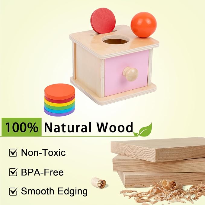 Adena Montessori Coin Box, 2 in 1 Object Permanence Box with Ball and Wooden Discs, Developmental Toys for 6-12 Month Infants, Learning Gifts for 1 Year Old Baby (Pink Door)