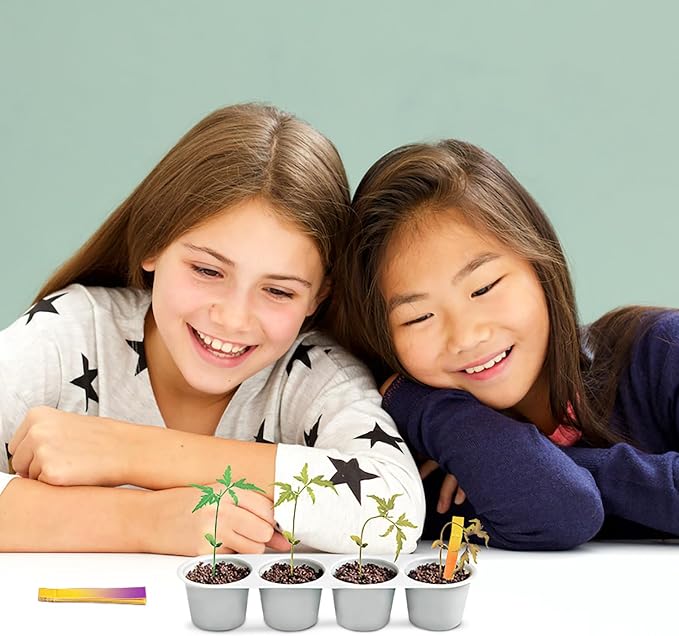 4M: Green Science - Weather Science - DIY Mini Observatory Kit, Static Electricity, Lightning-Cloud Formation, Build A Water Cycle Model, STEAM Kid 5+