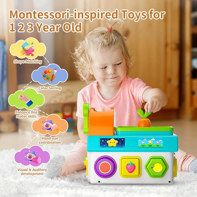 Montessori Toys for 1-2 Year Old Boys Girls, 1st First Birthday Gift for One Year Old, Baby 12-18 Month Educational Shape Matching Game w/ Lights & Sound, Fine Motor Learning Toys for Toddlers 1-3
