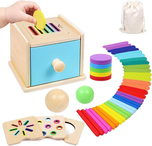 Montessori Toys for 1 2 3 Year Old, 4-in-1 Wooden Montessori Coin Box, Object Permanence Ball Drop Learning Color Sorting Toys for Toddlers 1-3, Gifts for 18 Months Baby Boys Girls