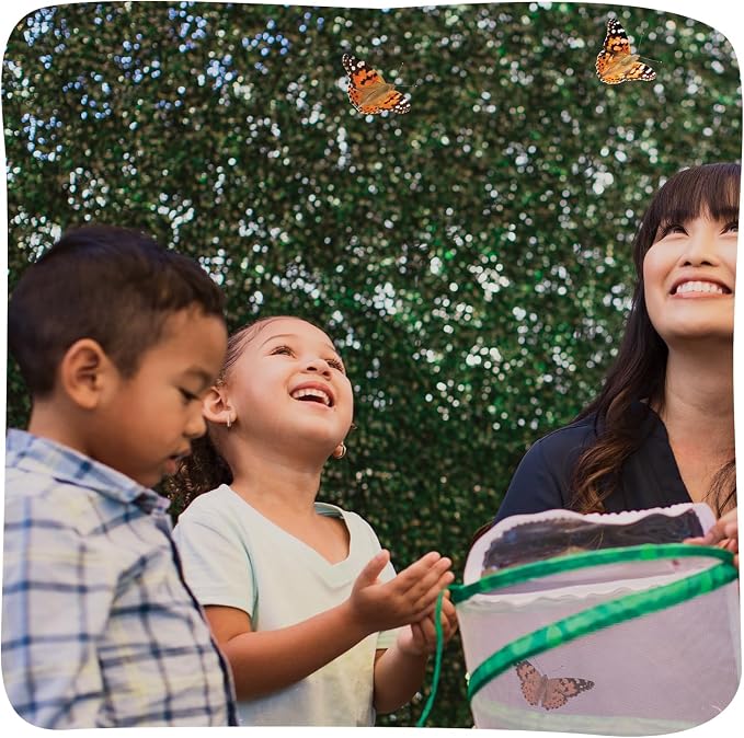 Insect Lore Raise and Release Butterfly Garden Kit – Caterpillar Habitat with redeemable Voucher – STEM-accredited Butterfly Growing Kit for Kids, Classrooms, and Homeschool Learning (Pack of 12)