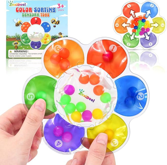 ZaxiDeel Sensory Toys Color Sorting Toys: Quiet Fidgets for Classroom Montessori Toy for Toddlers, Preschool Learning Activities Calm Dwon Travel Toy for Boys Girls Gifts Ages 3+