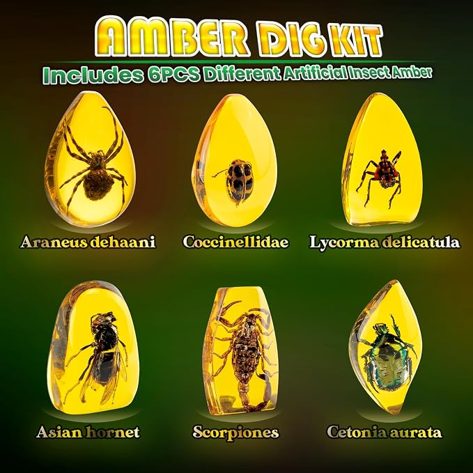GobiDex Amber Dig Kit-Artificial Insect Resin, Excavate 6 Insects Specimens, STEM Geographic Educational Bugs Toys, Excavation Toys for Fun Bugs Party Favors, Science Kits for Kids Age 6-8 8-12