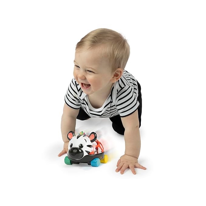 Baby Einstein Curious Car Zen Oball Toy Car & Rattle, Light Up, Ages 3 Months+, Zen The Zebra