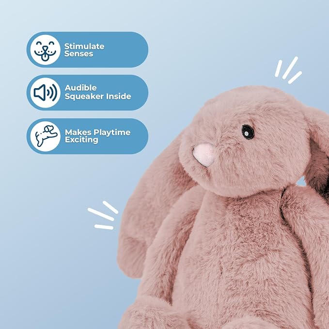 Best Pet Supplies Interactive Squeaky Dog Chew Toy, Ideal Dog Toys for Chewers, Small, Medium & Large Dogs, and Fetch Lovers - Bunny (Mauve), Small