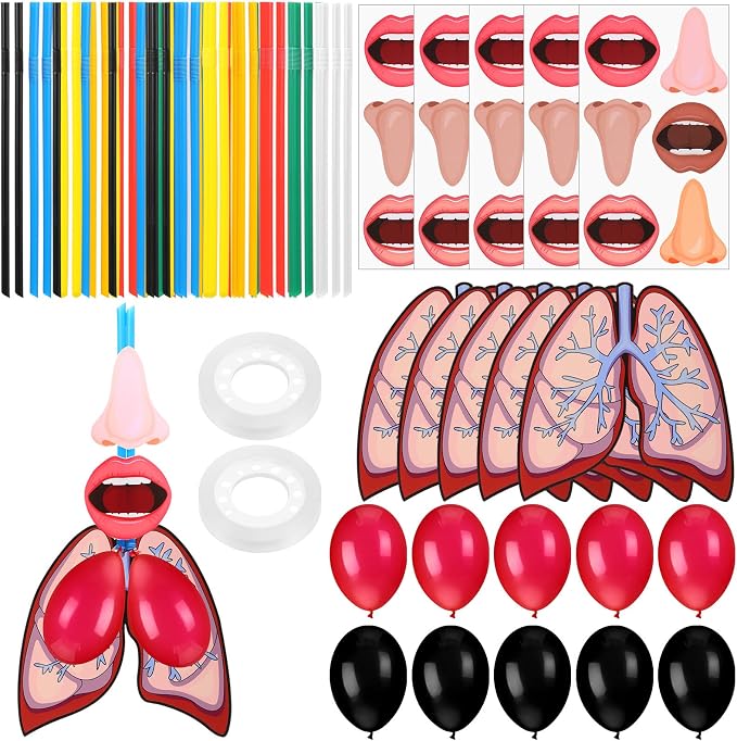 Libima 24 Sets Lung Model Respiratory System Model Toys Science Classroom Study Display Biologic Anatomy Doll and Human Body Puzzle Learning Homeschool Preschool Early Childhood Teaching Aid