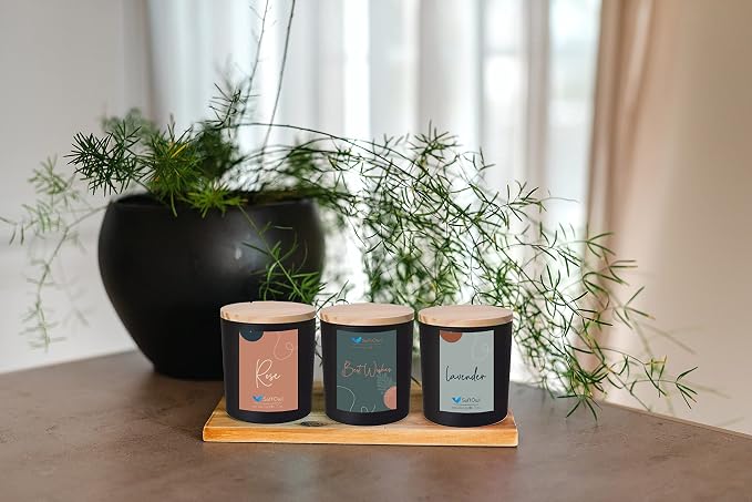 SoftOwl Premium Soy Candle Making Kit - Black Edition - Full Set - Soy Wax, Big 7oz Jars & Tins, 7 Pleasant Scents, 10 Color Dyes & More - Perfect as Home Decorations