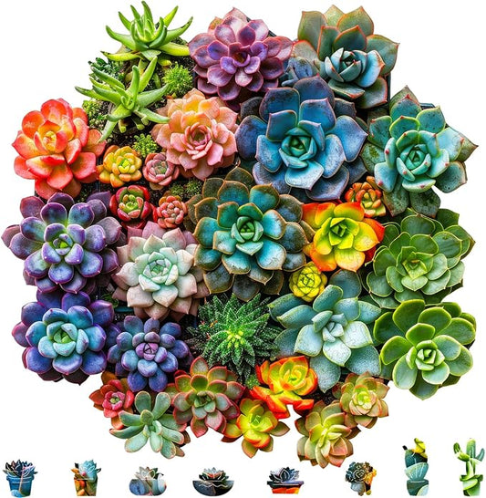 Mys Aurora Succulent Wooden Puzzles for Adults, 200 Piece Unique Shaped Wood Jigsaw Puzzles for Adults and Kids, Fun Challenging Puzzles Family Game Gift, Medium 11.2'' x 11'