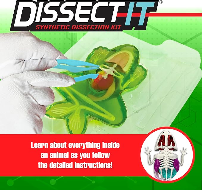 Top Secret Toys Dissect It Kit for Kids, Synthetic Dissection Kids Science Kit to Learn Animal Anatomy, Biology, STEM Frog Toys, Ages 6 and Above